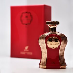 AFNAN HIGHNESS IX EDP 100ML